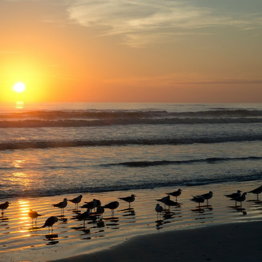 Belleair beach shot